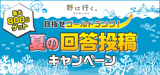 目指せゴールドランク！夏の回答投稿キャンペーン